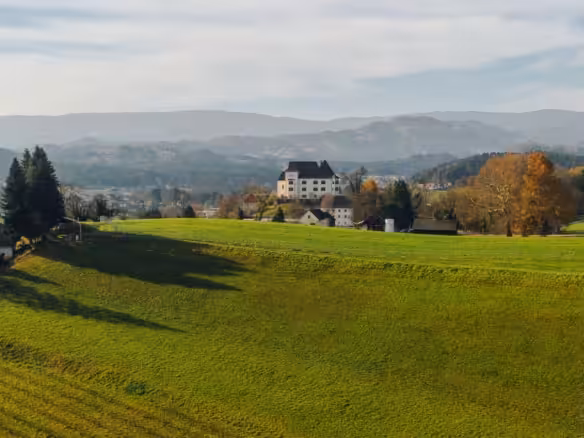 DJI_0573