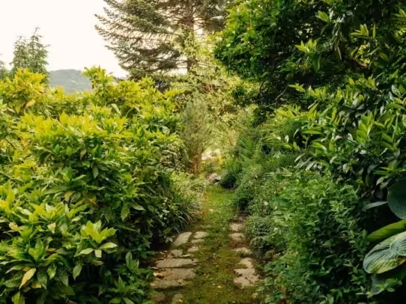 Garten-10
