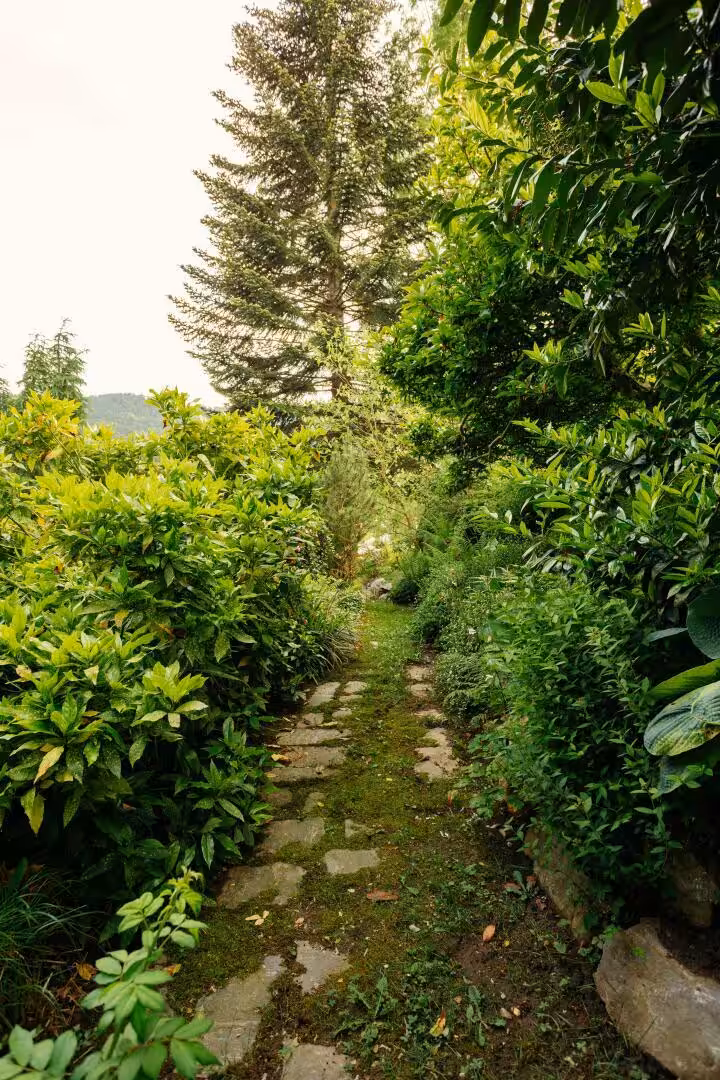 Garten-10