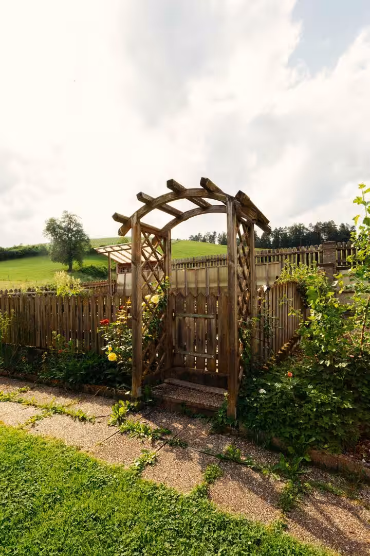 Garten-6