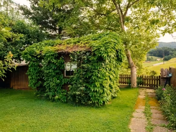 Garten-5