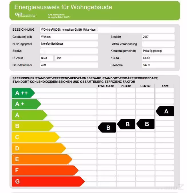 Energieausweis_1