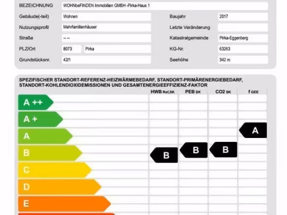 Energieausweis_1