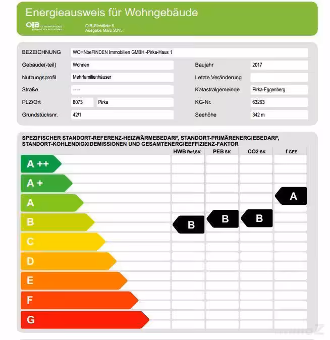 Energieausweis_1