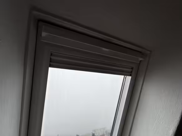 20250213_082900921_iOS