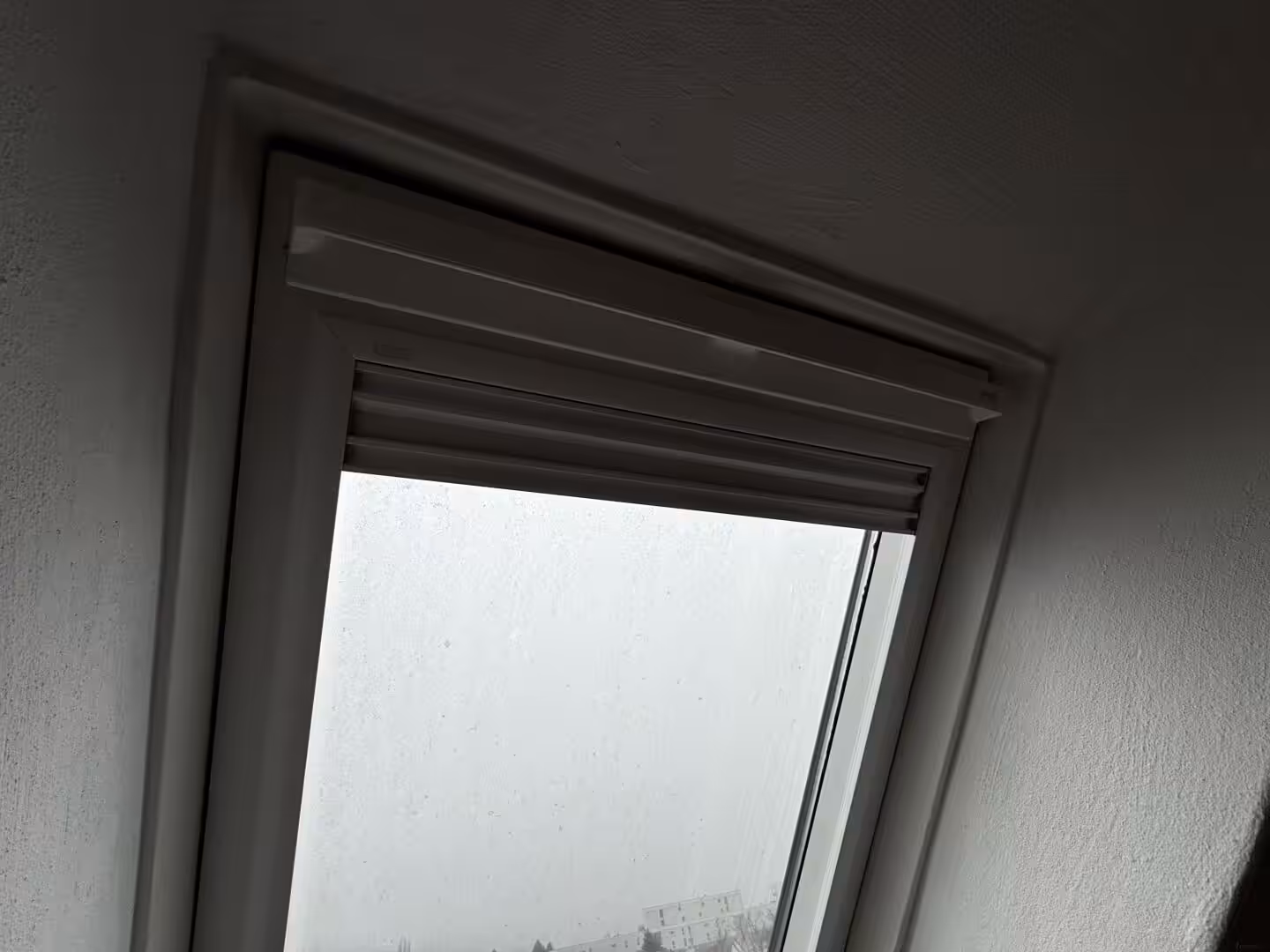 20250213_082900921_iOS