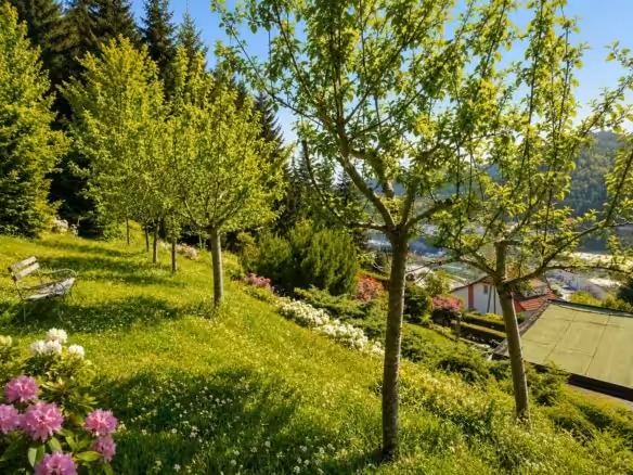 Ansicht Garten 1