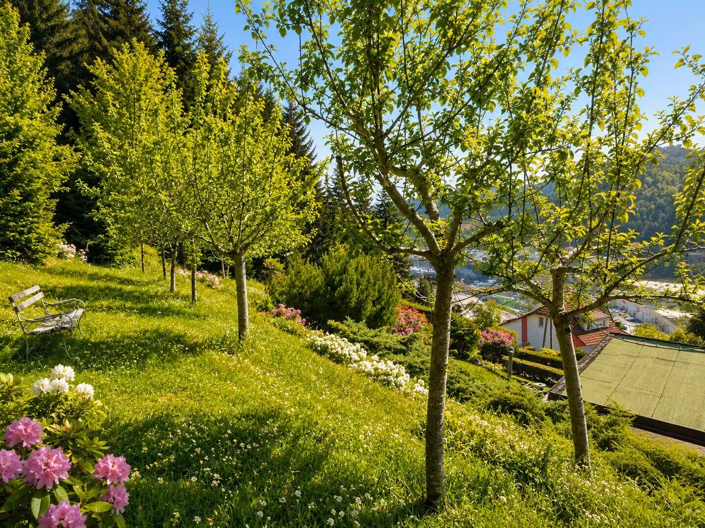 Ansicht Garten 1