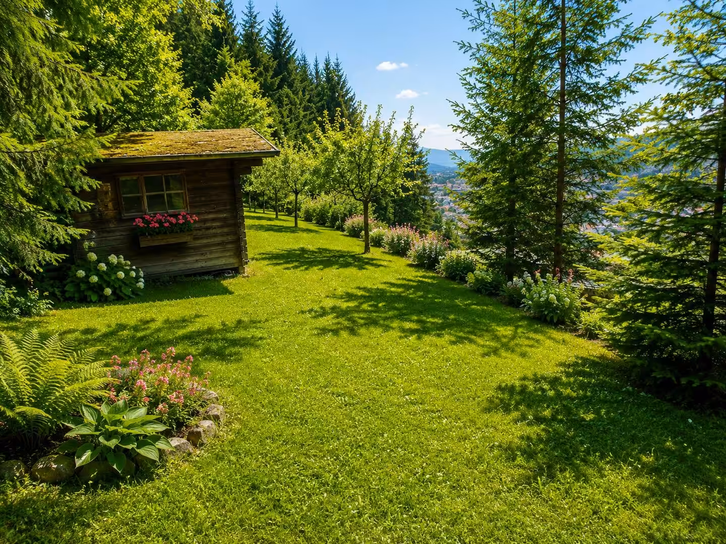 Sommeridyll mit Wald und Wiese