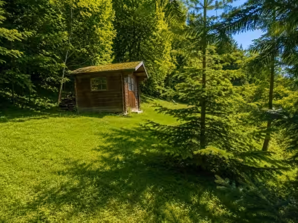 sommerliche Waldlichtung mit Hütte