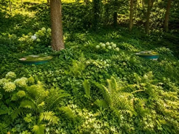Waldgarten mit üppigem Grün