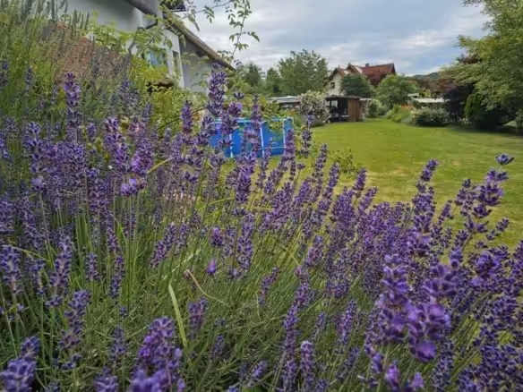 Impression Garten