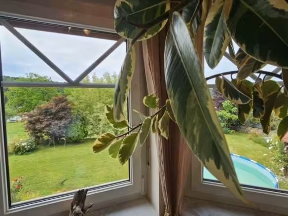 Blick von der Küche