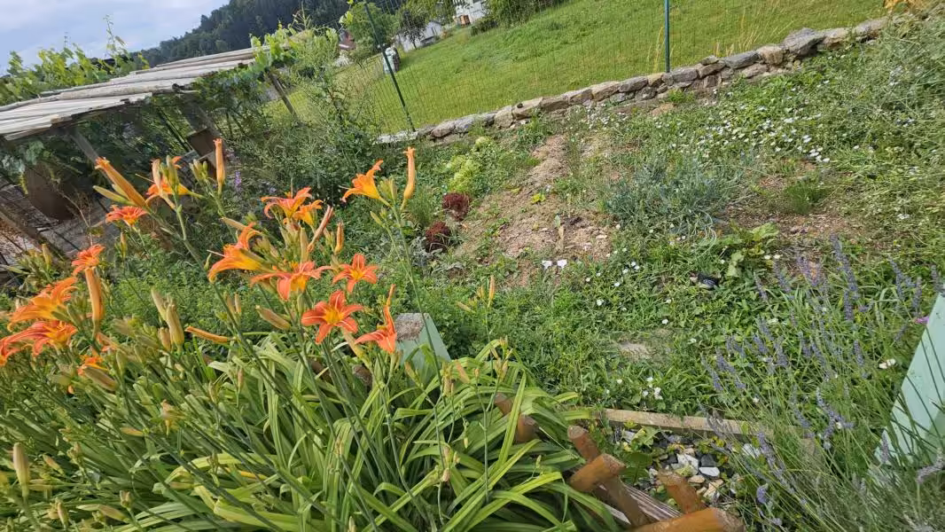 Impression Garten