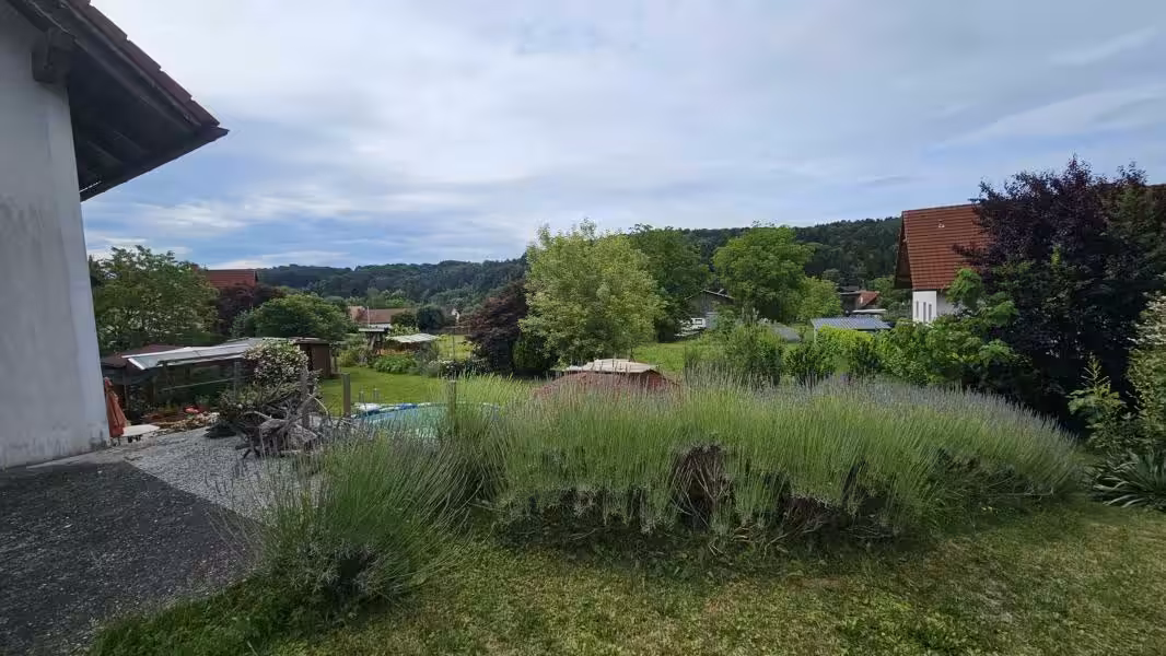 Grünblick