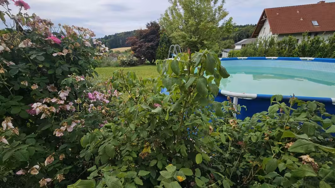 Impression Garten