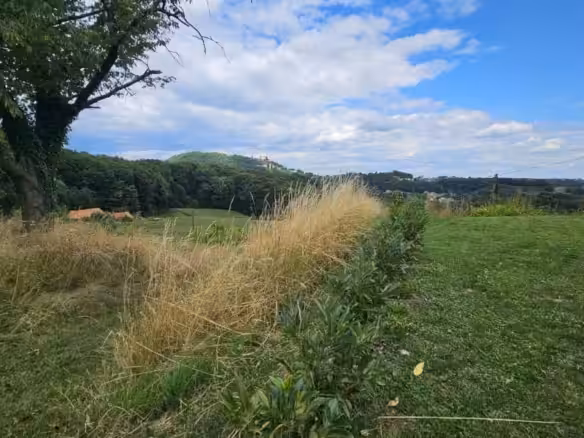 Impressionen