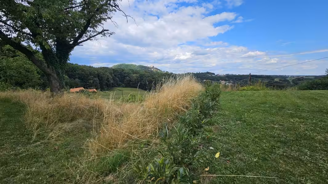 Impressionen