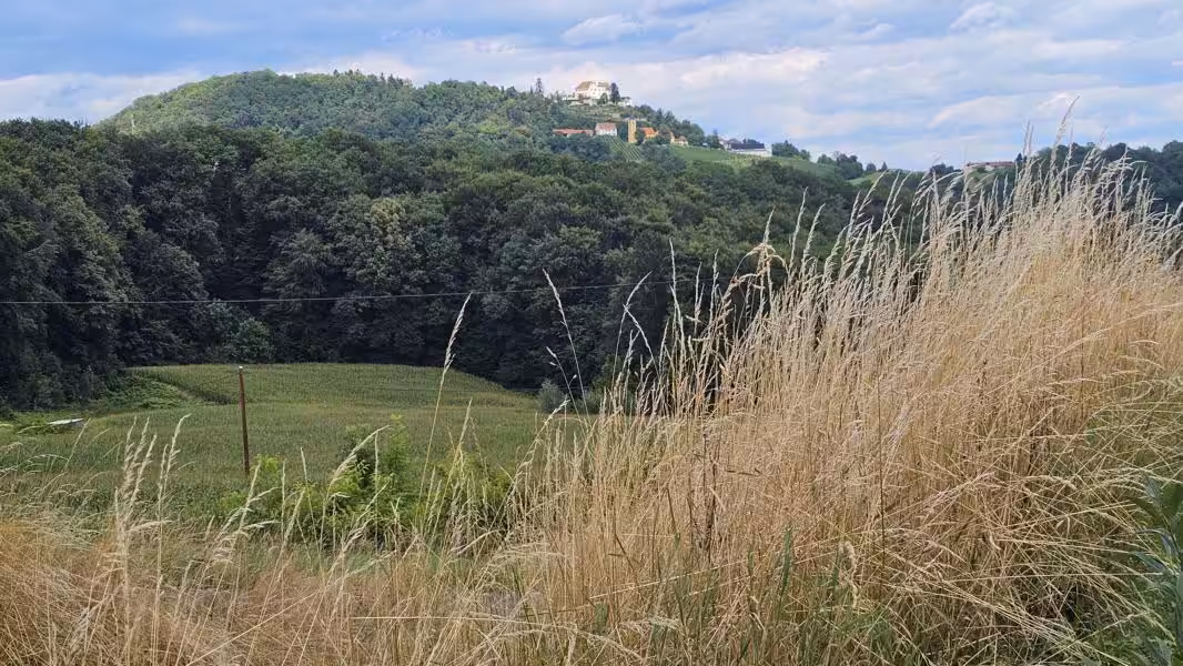 Impressionen