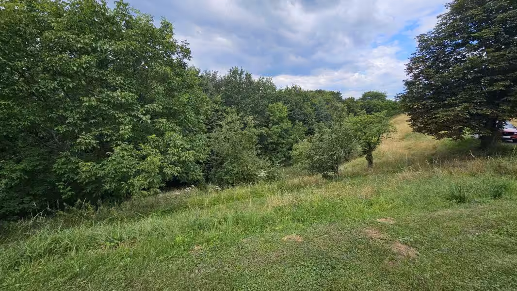 Blick Wald und Obstgarten