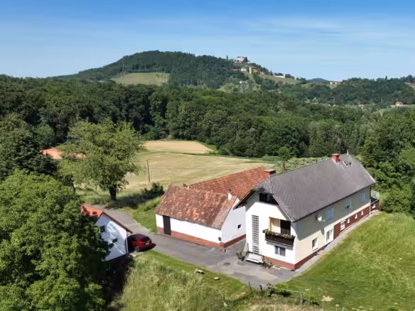 Ansicht mit Schloss Kapfentstein