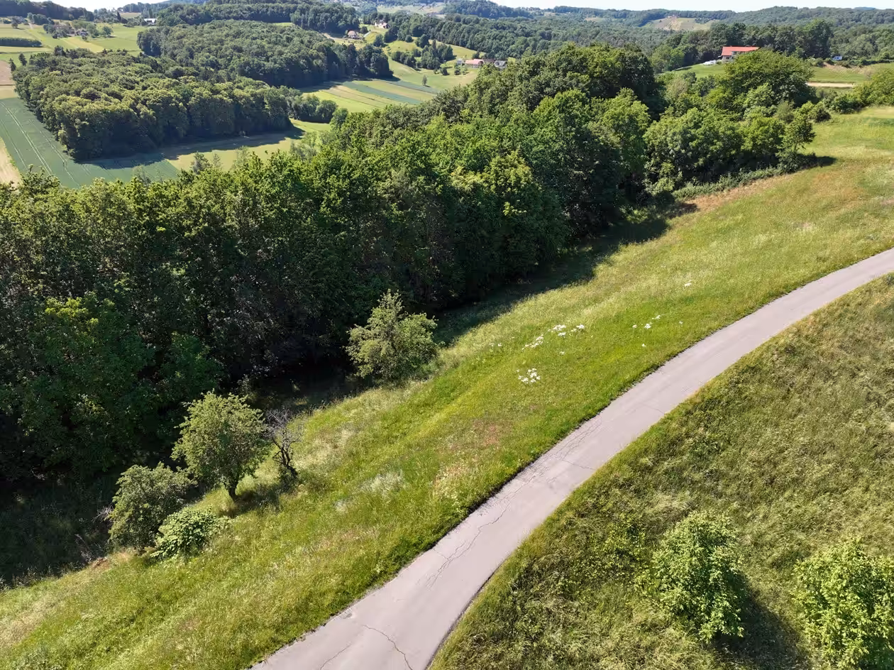 Blick zur eigenen Wiese und zum eigenem Wald