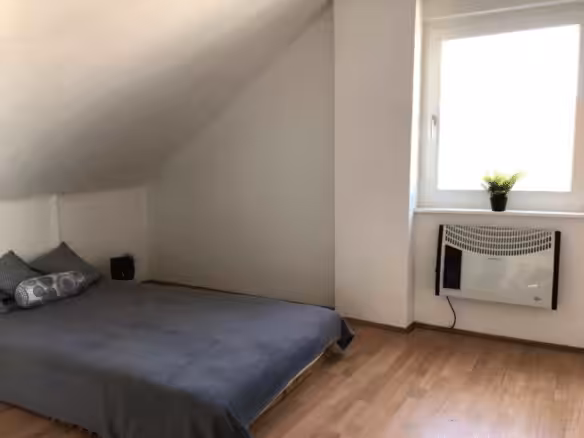 zimmer1