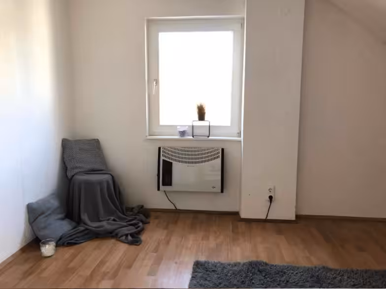 zimmer2