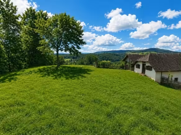 Blick ins Hügelland 2