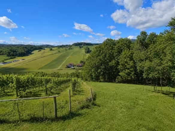 Blick zum eigenen Wald und Hügellandschaften