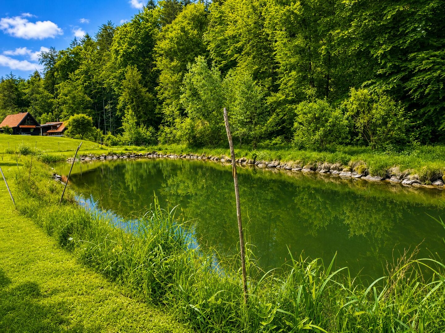 Teich 1 mit ca 570m²