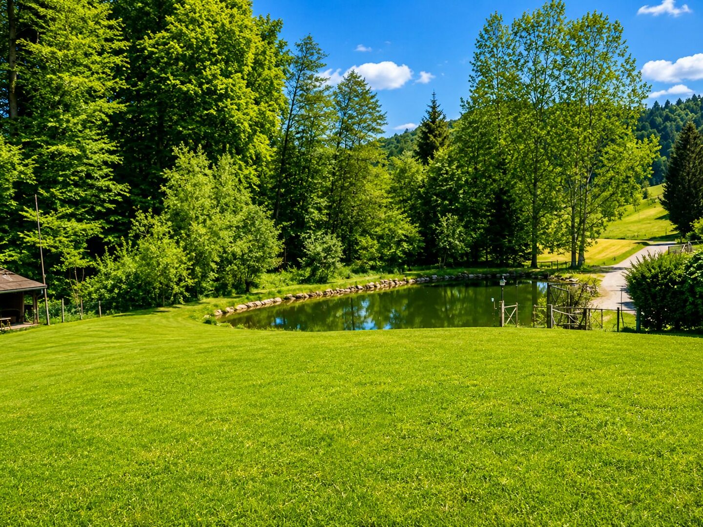 Blick zu Teich