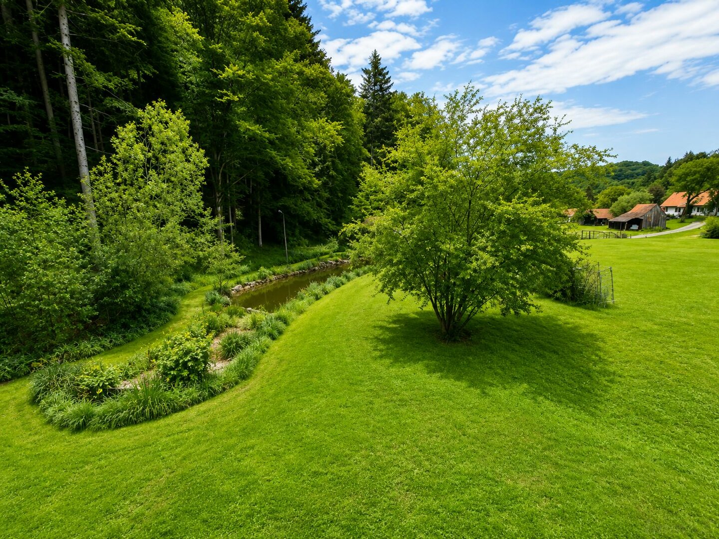 Ansicht Teich